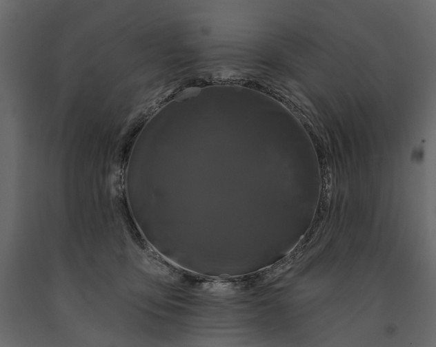 X0000091090419200708271300