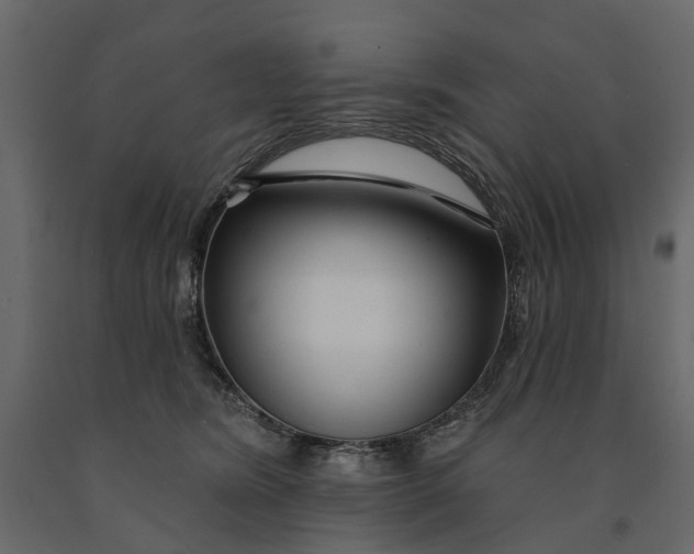 X0000091090420200708271300