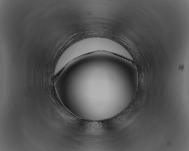 X0000091090421200708271300