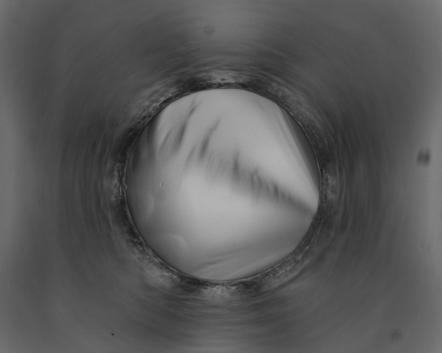 X0000091090422200708271300