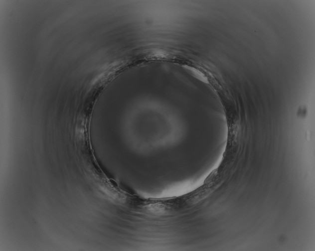 X0000091090423200708271300