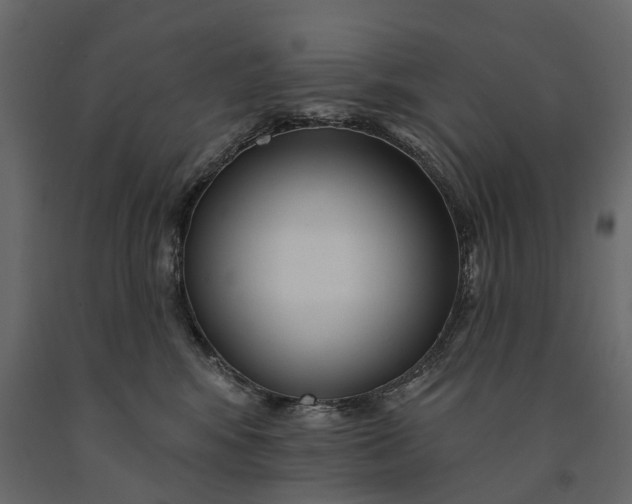 X0000091090424200708271300