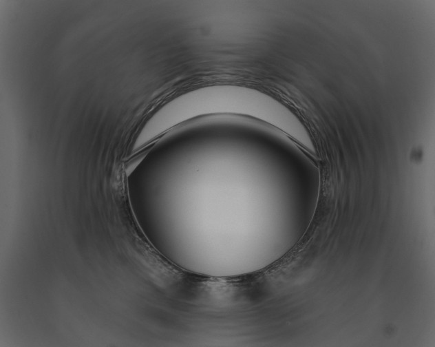 X0000091090425200708271300