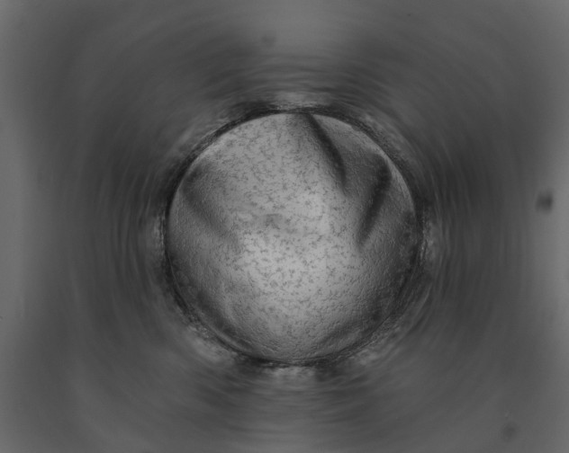 X0000091090426200708271300