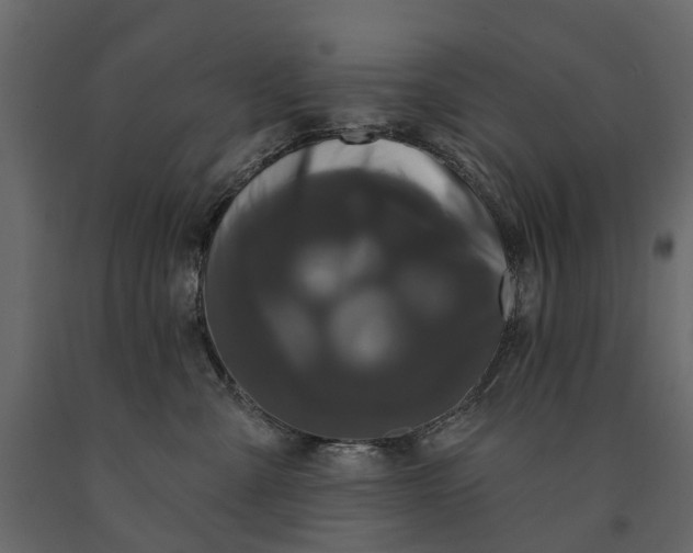 X0000091090427200708271300