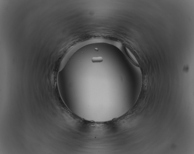 X0000091090428200708271300