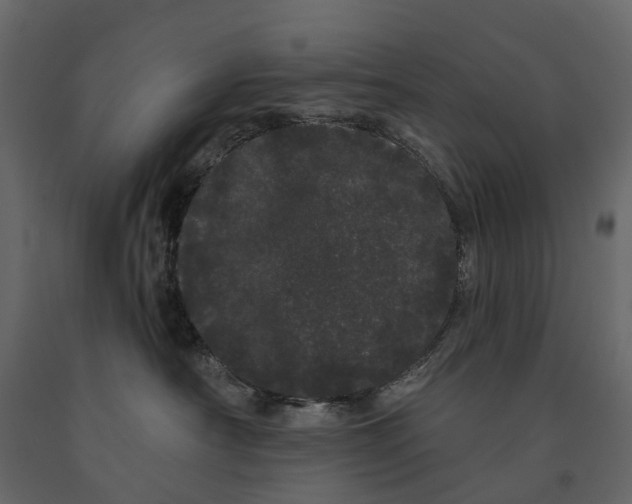 X0000091090430200708271300