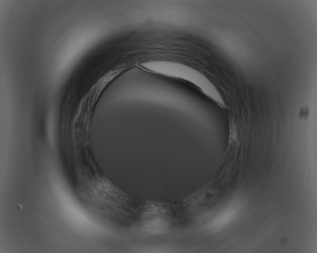 X0000091090431200708271300