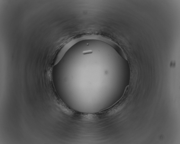 X0000091090432200708271300