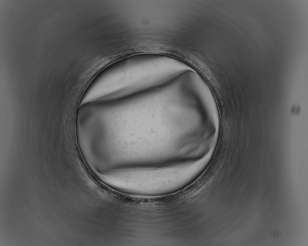 X0000091090433200708271259