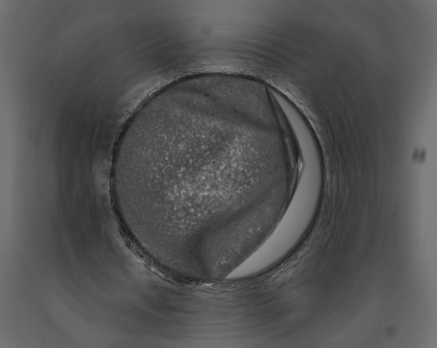 X0000091090434200708271259