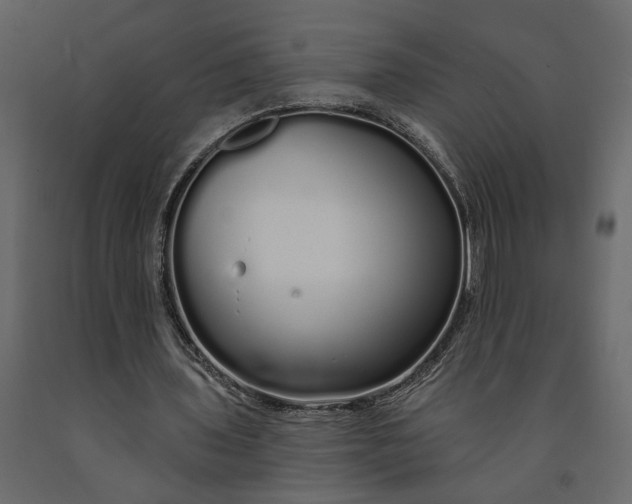 X0000091090435200708271259