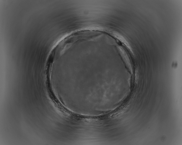 X0000091090436200708271259