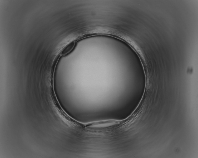 X0000091090437200708271259