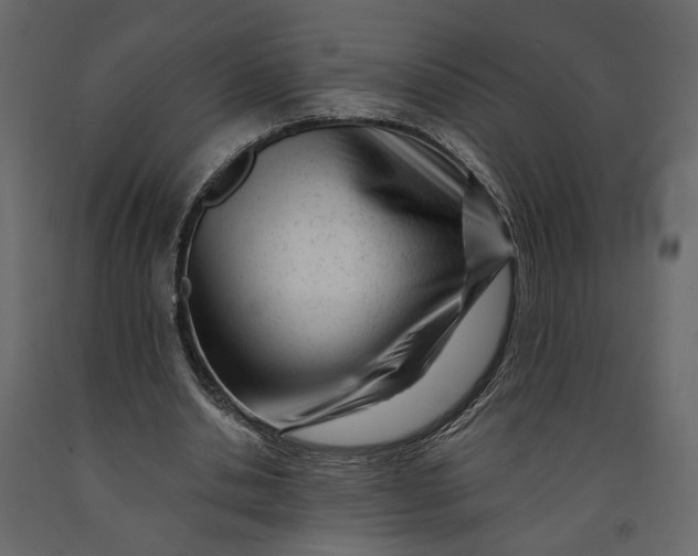 X0000091090438200708271259