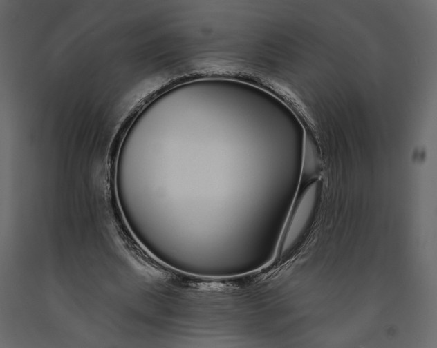 X0000091090439200708271259