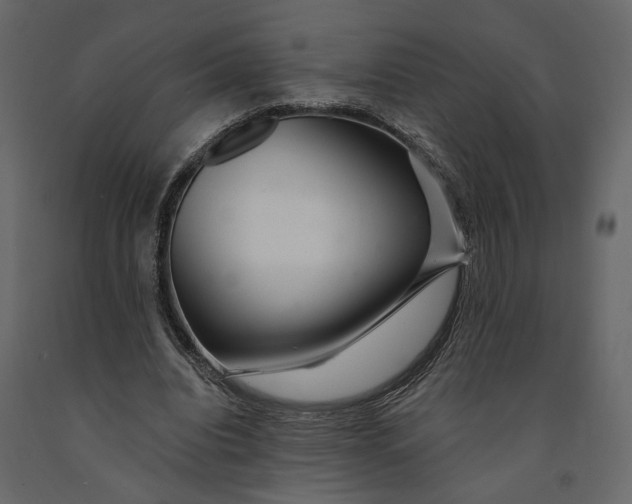 X0000091090440200708271259