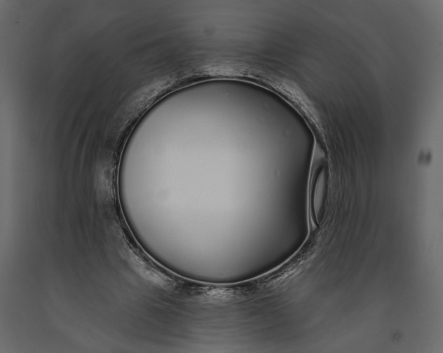 X0000091090441200708271259