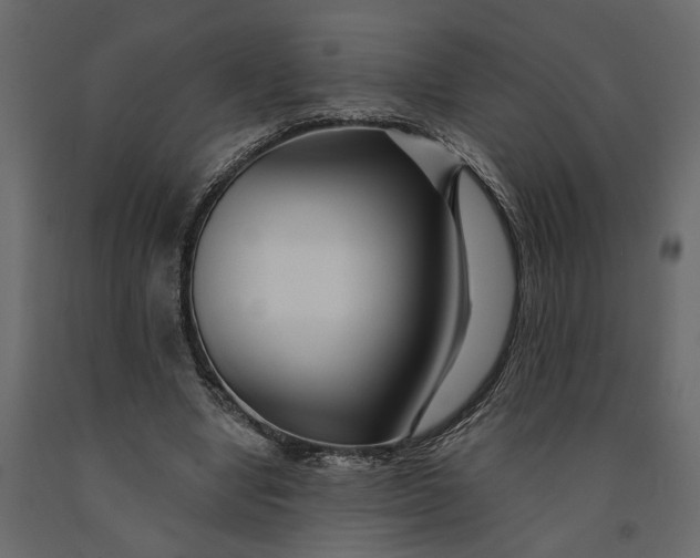 X0000091090442200708271259