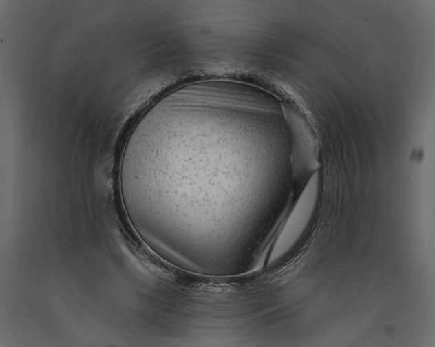 X0000091090443200708271259