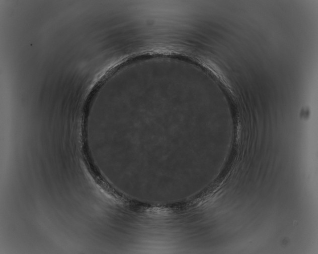 X0000091090444200708271259