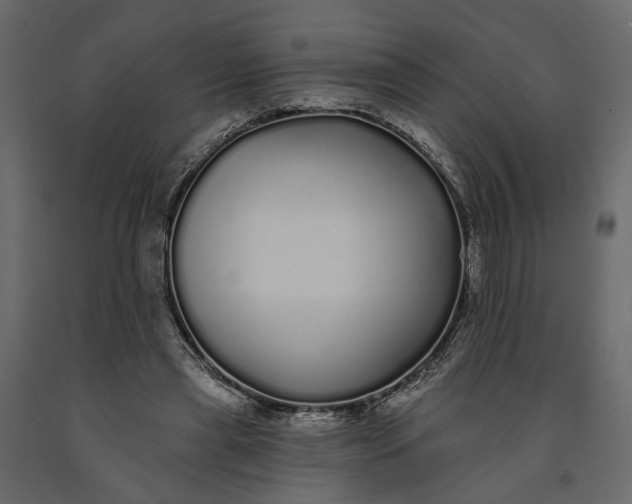 X0000091090445200708271259