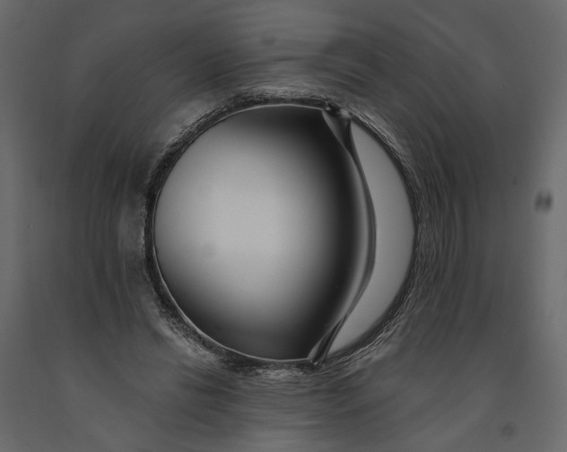 X0000091090446200708271259