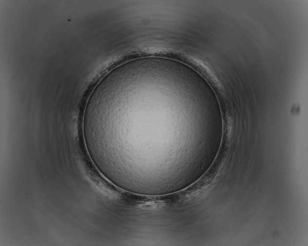 X0000091090447200708271259