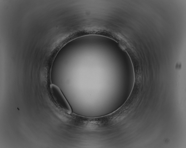 X0000091090448200708271259