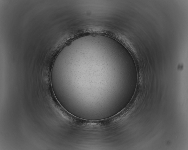 X0000091090449200708271259