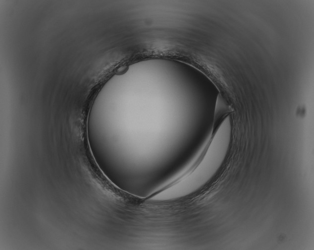 X0000091090450200708271259