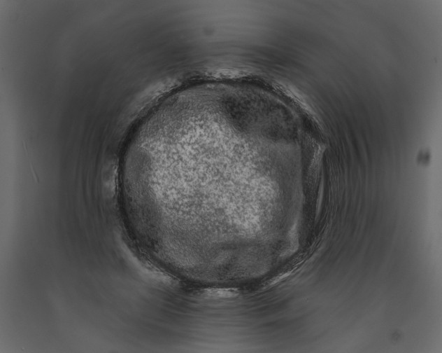 X0000091090451200708271259