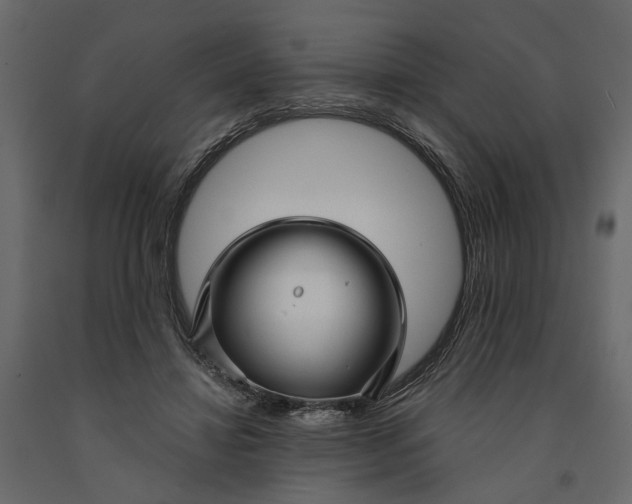 X0000091090452200708271259