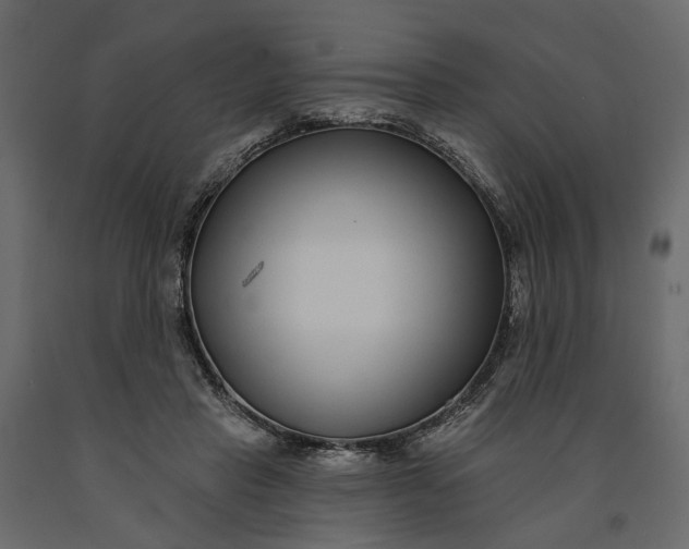 X0000091090453200708271259