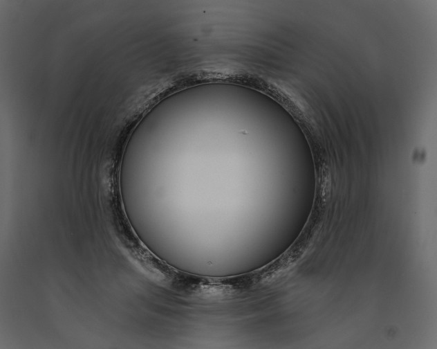 X0000091090455200708271259