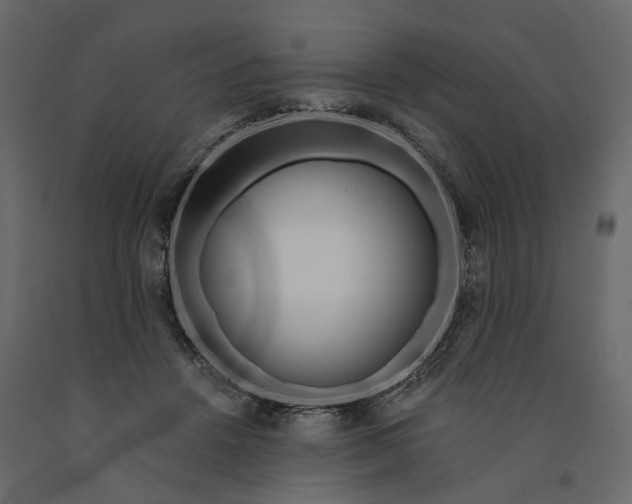 X0000091090456200708271259