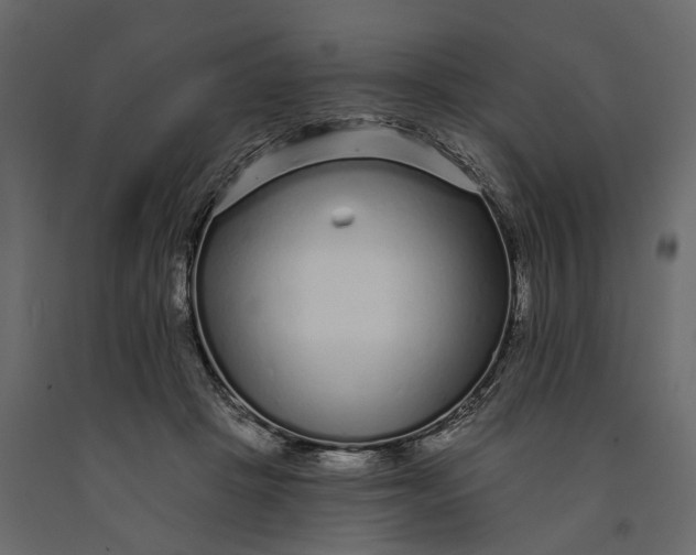 X0000091090457200708271259