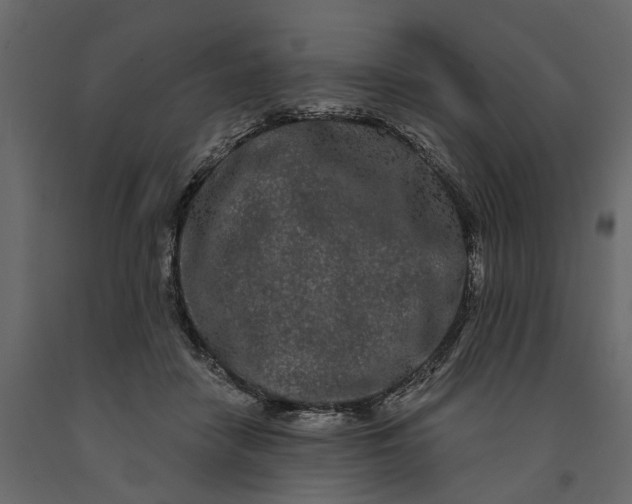 X0000091090458200708271259