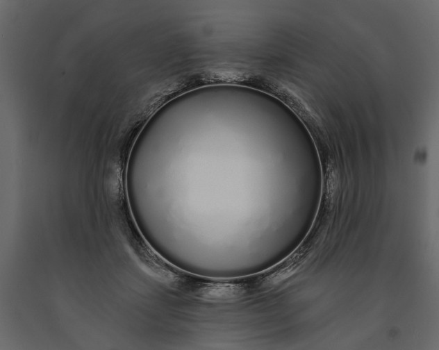 X0000091090459200708271259