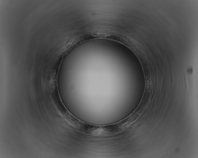 X0000091090460200708271259