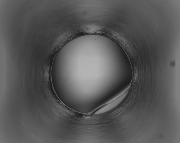 X0000091090461200708271259