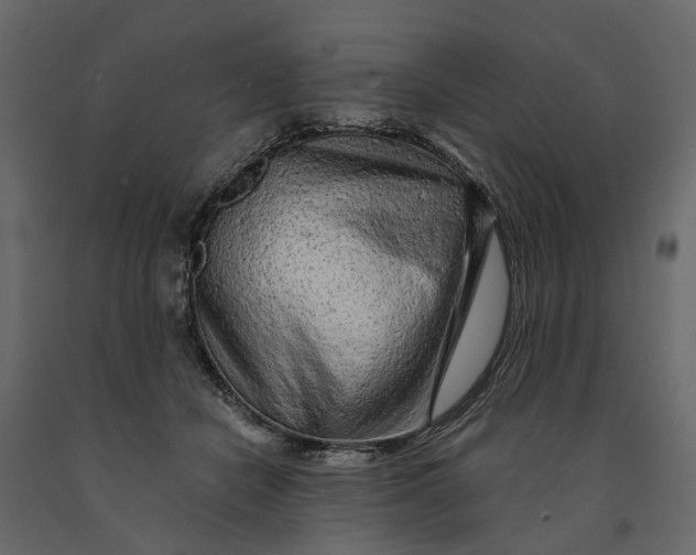 X0000091090462200708271259