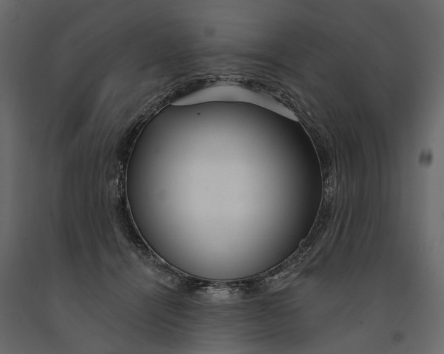 X0000091090464200708271259