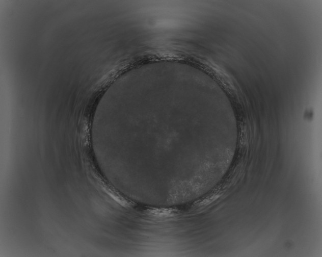 X0000091090465200708271259