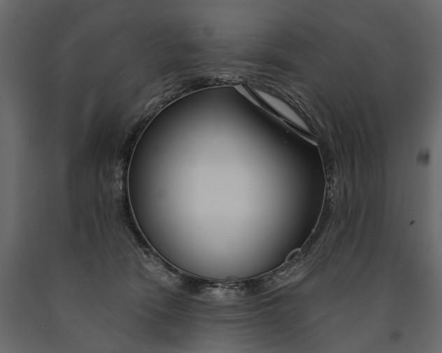 X0000091090466200708271259