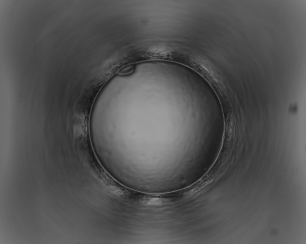 X0000091090467200708271259