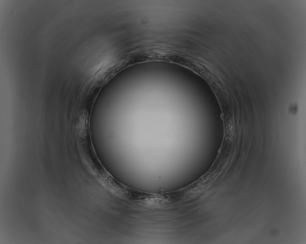 X0000091090468200708271259