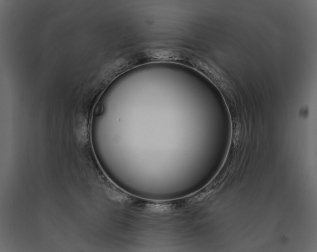 X0000091090469200708271259