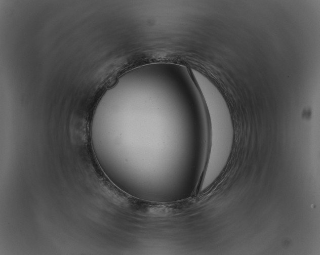 X0000091090470200708271300