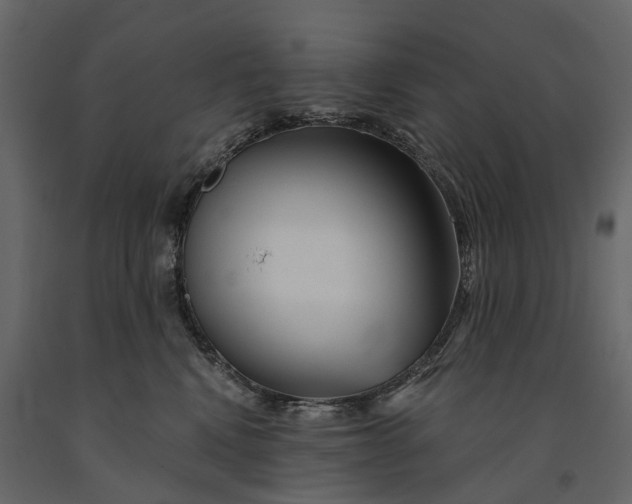 X0000091090472200708271300